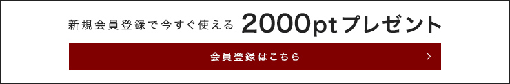 新規会員登録で今すぐ使える2000ptプレゼント